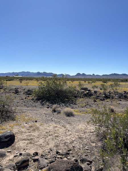 Connecting with the land